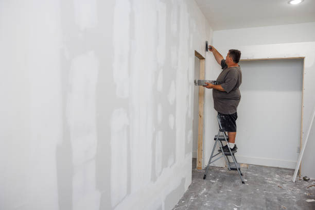 Best Environmental Consulting for Mold Prevention  in Waukomis, OK