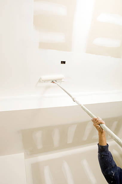Best Attic Mold Removal  in Waukomis, OK