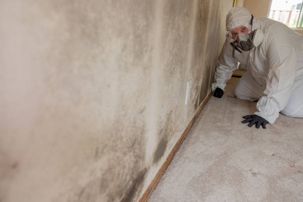 Best Mold Prevention Services  in Waukomis, OK